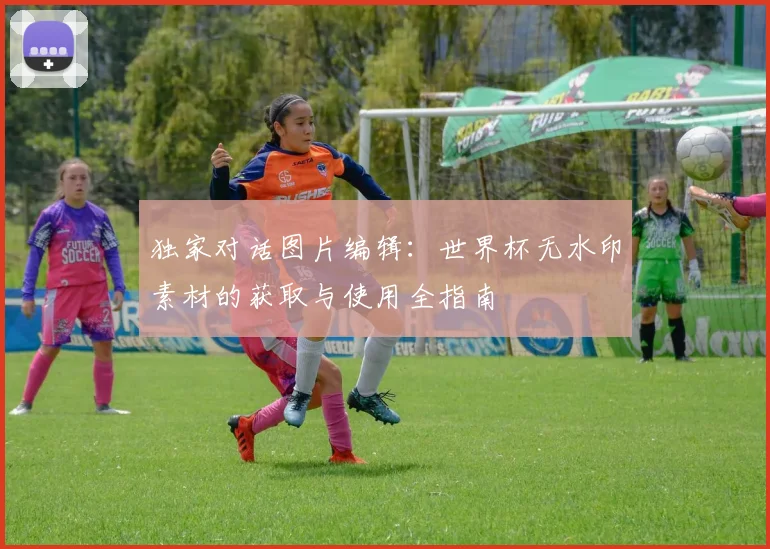 独家对话图片编辑：世界杯无水印素材的获取与使用全指南