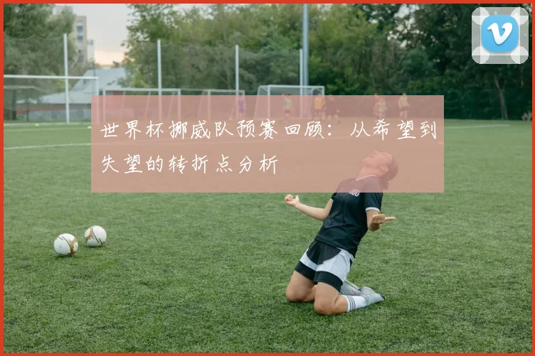 世界杯挪威队预赛回顾:从希望到失望的转折点分析
