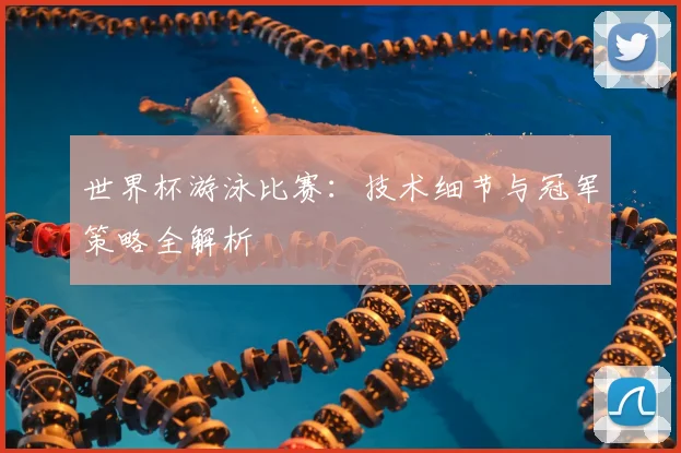 世界杯游泳比赛:技术细节与冠军策略全解析