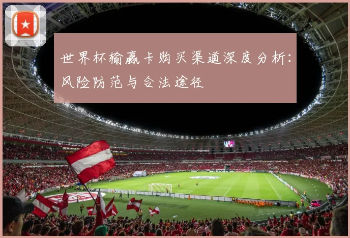 世界杯输赢卡购买渠道深度分析:风险防范与合法途径