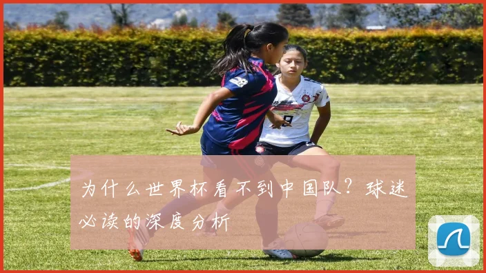 为什么世界杯看不到中国队?球迷必读的深度分析