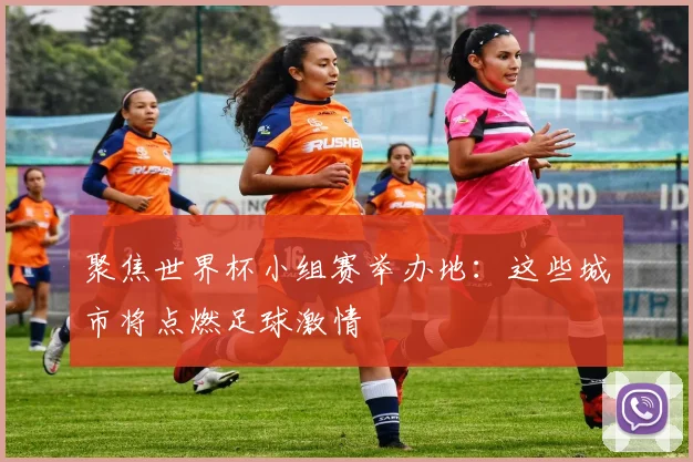 聚焦世界杯小组赛举办地：这些城市将点燃足球激情