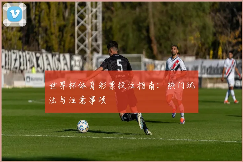 世界杯体育彩票投注指南:热门玩法与注意事项