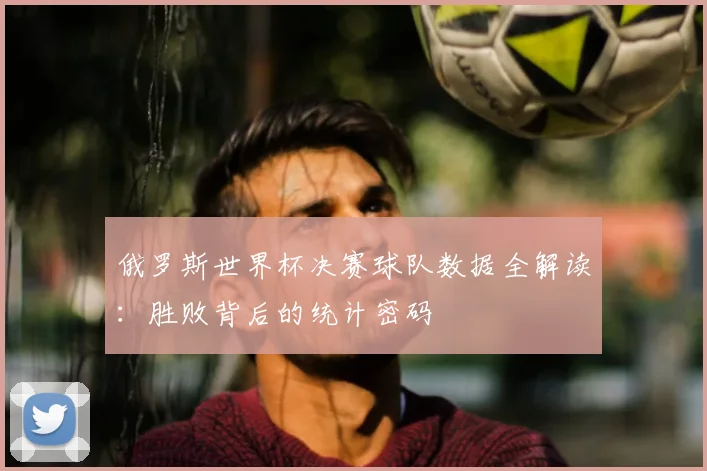 俄罗斯世界杯决赛球队数据全解读:胜败背后的统计密码