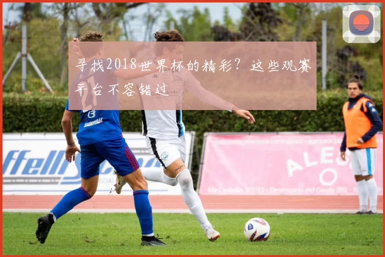 寻找2018世界杯的精彩?这些观赛平台不容错过