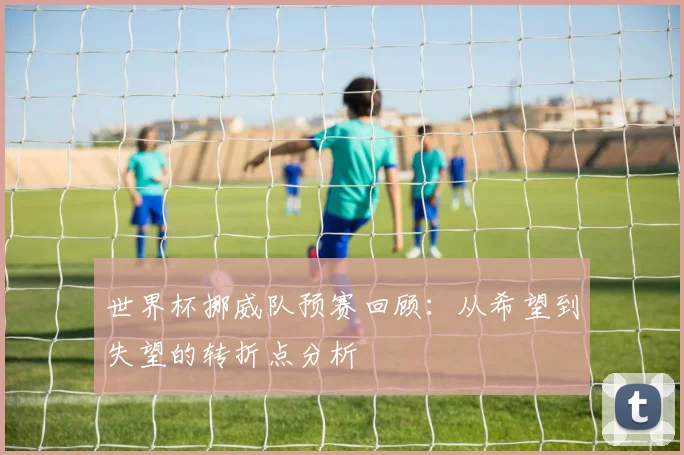 世界杯挪威队预赛回顾：从希望到失望的转折点分析