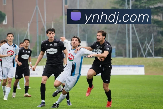 九游j9官网快速入口APP 体育赛事宣传图